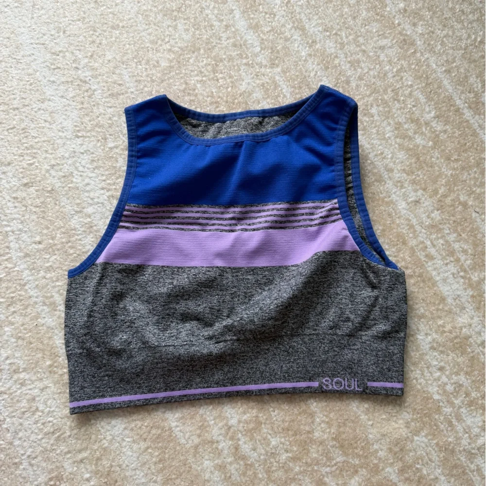 Gray and Blue Crop Top with Purple Accents